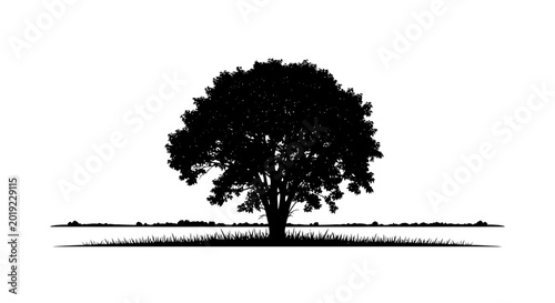 Black Tree Silhouette in a Meadow on White Background