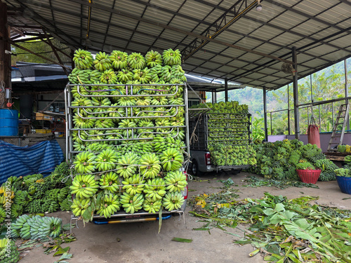 Foto Green banana truck carrying heavy agriculture harvest shows an abundant transport process