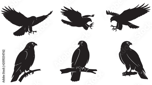 Eagle silhouette vector set, black hawk and falcon bird icons, predatory raptors in flight and perched on branches, 6 wildlife animal elements