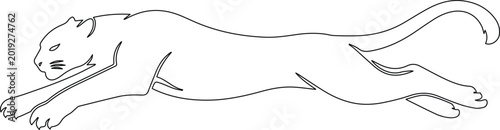 Foto Dynamic leaping panther vector illustration, sleek black and white big cat outli