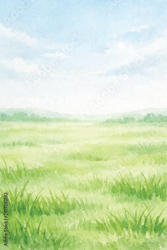 Billede på lærred watercolor green grassland drawing background
