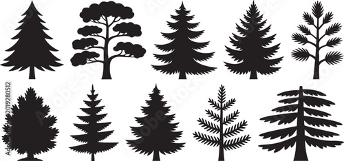 Forest trees set. Isolated vector silhouette. Coniferous forest. Christmas tree, fir-tree, pine, pine-tree, Scotch fir, cedar silhouette vector illustration