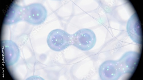 Microscopic View of Cell Mitosis Featuring Cellular Division and Genetic Material in Soft Focus Aesthetic