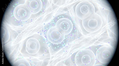 Microscopic View of Cell Division with Vibrant Colors and Abstract Patterns for Scientific Visualization