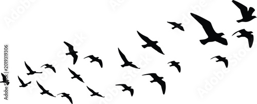 Flock of Black Birds Flying on White Background