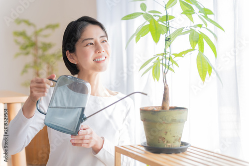 観葉植物にジョウロで水やりする女性