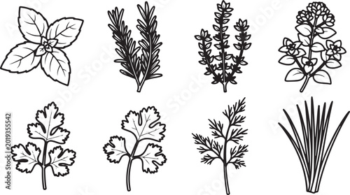 Photos Vector illustration of different types of flowers and plants Vector