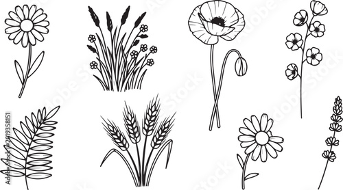 Set of simple black and white line art flowers and plants icons vector Vector