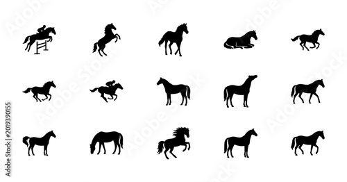 Diverse collection of black horse silhouettes displaying various dynamic poses including jumping galloping rearing and standing positions in a clean minimalist vector illustration style perfect for eq