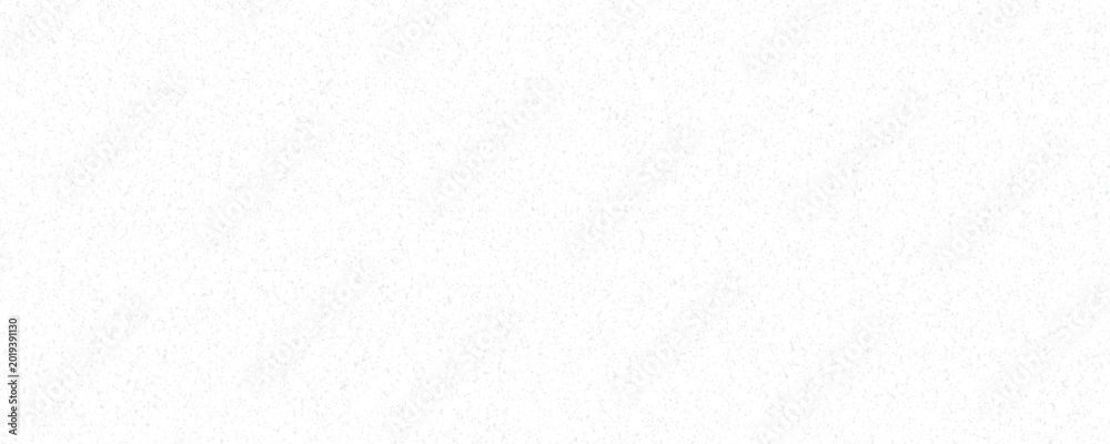 Fototapeta premium Abstract vector noise. Small particles of debris and dust. Distressed uneven background. Grunge texture overlay with fine grains isolated on white background. Vector illustration.