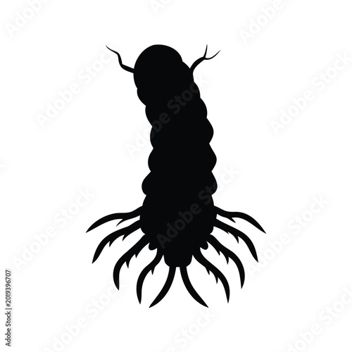 Canvas Print Silhouette of root maggot pest insect isolated black and white vector illustrati