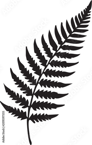 Fern Leaf Silhouette: A clean silhouette of a fern leaf, showcasing its delicate and intricate structure, is captured with precision.