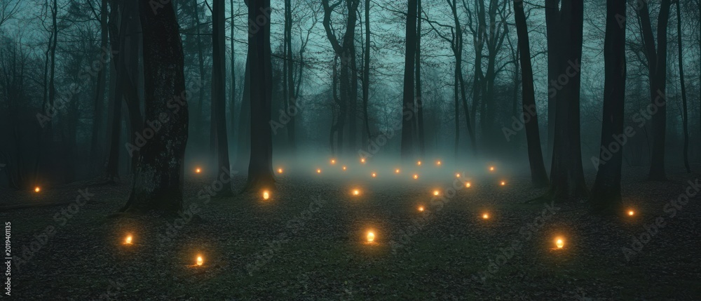 Naklejka premium Mysterious forest night candles fog and dark trees