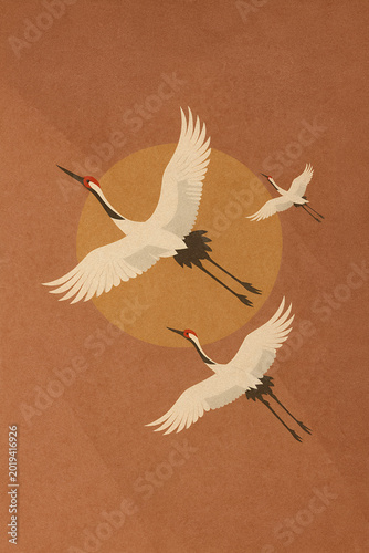 vector illustration of a flying bird