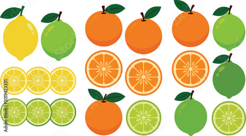 Tableau sur toile Fresh citrus fruit vector set featuring orange lemon lime slices and whole tropi