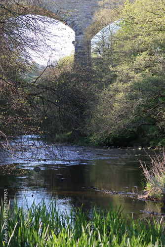 Foto River Derwent, Derwenthaugh County Park, Gateshead