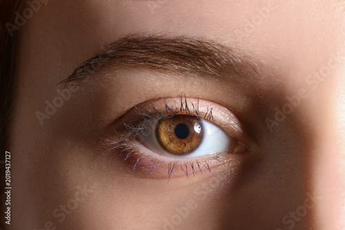 Photos Young woman with beautiful eyebrows and hazel eyes. Closeup