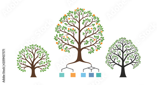 Organizational tree structure representing growth and development