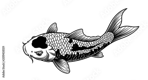 Japanese Koi Carp Fish Vector Illustration in Traditional Monochrome Line Art Style, Detailed Hand-Drawn Aquatic Animal for Tattoo Design