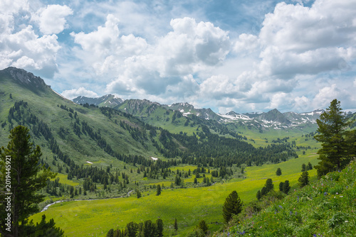 Vivid green landscape with forest hills and high rock tops and peaks with snow under lush clouds in blue sky. Alpine view from coniferous trees on hill to big sharp rocky mountains with sheer crags.