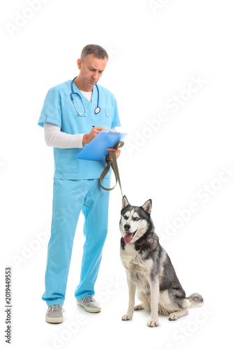 Male veterinarian with cute...