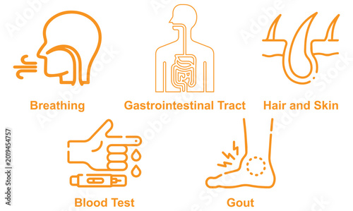 Modern healthcare icon set representing hair and skin care, breathing function, gout awareness, gastrointestinal tract health, and blood test diagnostics a clean and professional vector style design