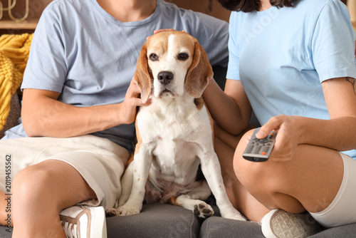 Young couple with cute Beag...