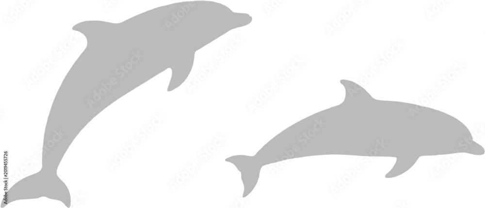 Fototapeta premium Minimalist Dolphin Silhouette Duo on White Background