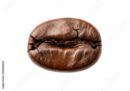 Single roasted coffee bean isolated on transparent background