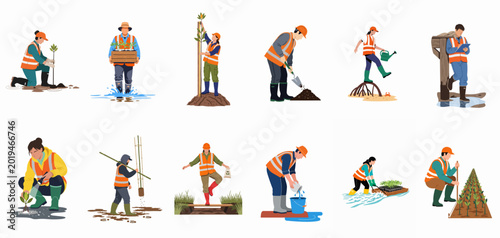 Photos Environmental workers and volunteers planting, nurturing, and monitoring mangrove trees in coastal restoration projects, featuring diverse activities for ecosystem preservation