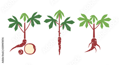 Cassava Line art vector set modern abstract creative illustration