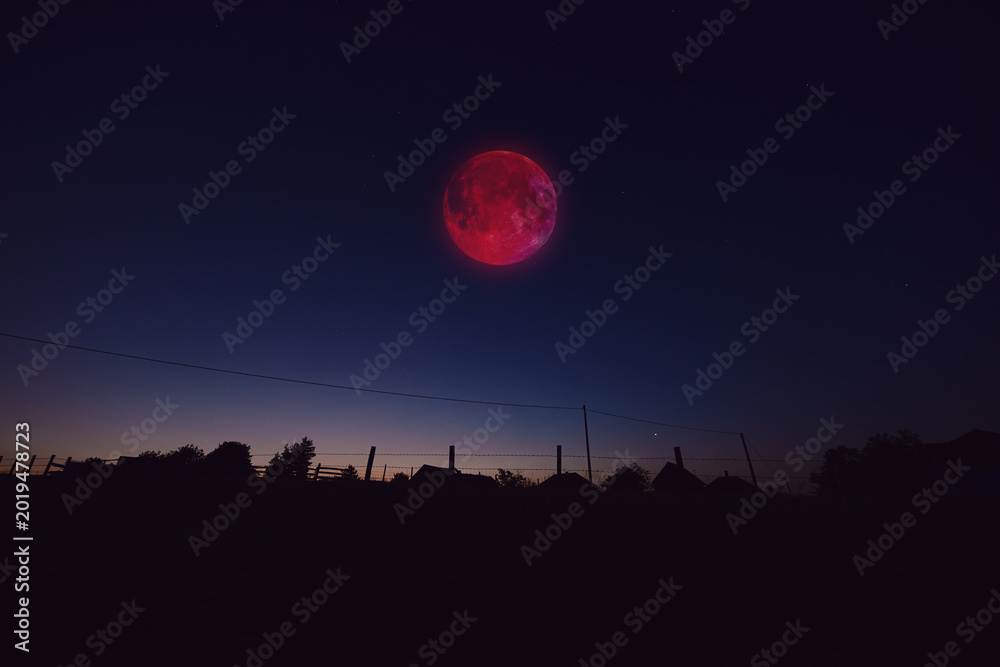 Fototapeta premium Lunar eclipse, stars and planets above landscape silhouettes.