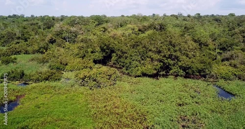 4K drone rise above Amazon rainforest canopy revealing horizon near Iquitos Peru