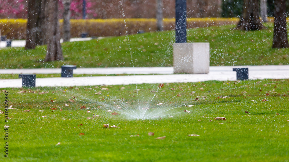 Fototapeta premium Fountain sprays water over grass with fallen leaves