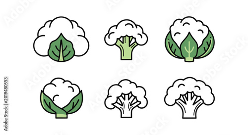 Cauliflower Line art vector abstract decorative design