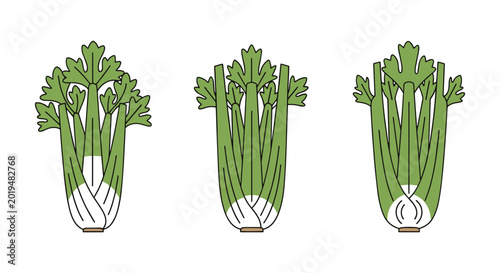 Celery Line art vector set abstract decorative design