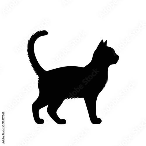 Black cat silhouette standing profile, isolated on white background, elegant feline form