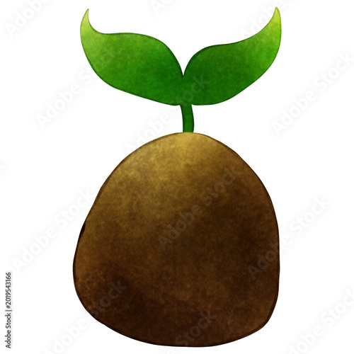 Watercolour illustration of a small green plant sprout growing from a mound of soil