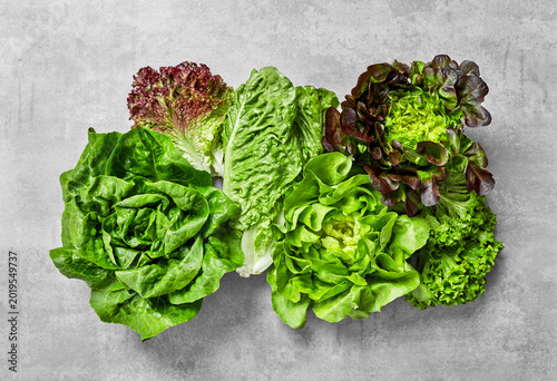 Assorted fresh lettuce and vegetables on gray background