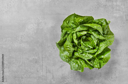 Cuadro en lienzo Fresh green lettuce on gray concrete background