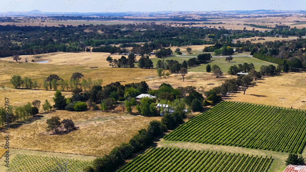 Obraz premium Aerial View of Lush Green Vineyards and Rural Farmland in Murrumbateman Australia