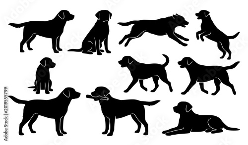 Photos Labrador Retriever dog silhouette collection vector illustration isolated on whi