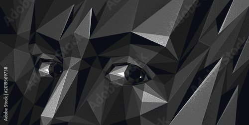 Billede på lærred Boy male face low poly vector illustration, dark wallpaper with face and eyes looking at camera, artificial intelligence AI concept, psychology and personality
