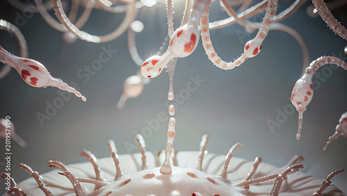 Virus cells