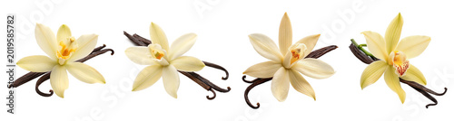 Photography Elegant vanilla orchid flowers with rich brown vanilla beans, perfect for culinary and botanical themes