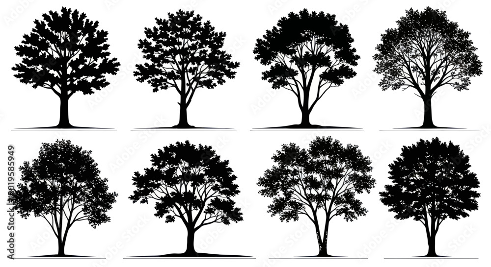 Fototapeta premium Diverse Tree Silhouettes Collection, Vector Art, White Background