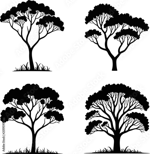 Canvastavla Vector bold line silhouette illustration style for an Australian tree