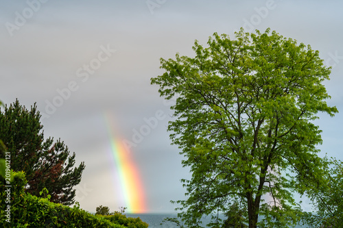  Landscape of rainbow and green tree after rain storm in Switzerland.