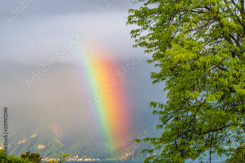  Landscape of rainbow and green tree after rain storm in Switzerland.