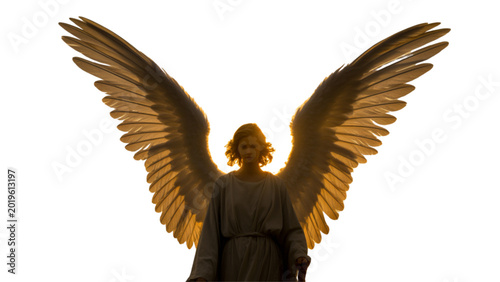 Photos Angel wings glowing in dark